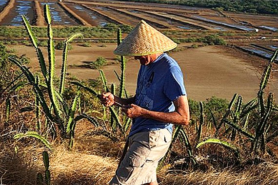 Russia is ready to lease to foreigners 1 million hectares of agricultural land of the Far East