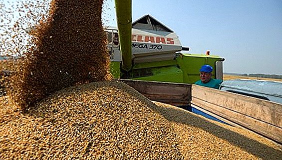 Fra 1. februar utgjorde kornreserver i Russland over 35 millioner tonn