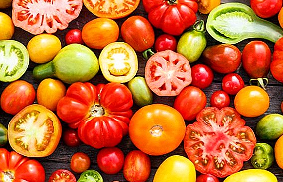 Top 10 magusamaid tomati sorte oma laua jaoks