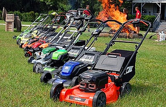 Top 10 best gasoline lawn mowers