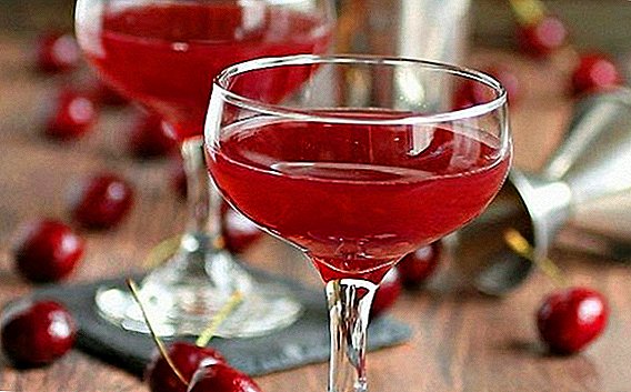 Top 10 recipes for homemade cherry tincture
