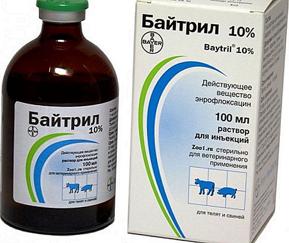 Oral solution "Baytril" 10% - instructions for use