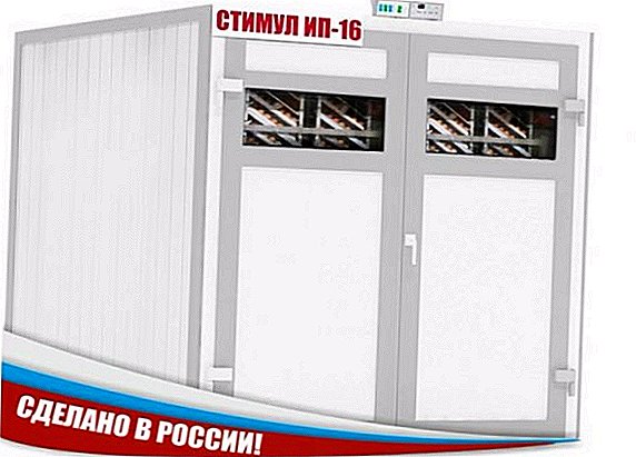 Overview of the incubator for eggs "Stimul IP-16"