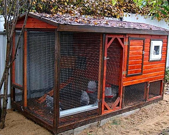 How to build a chicken coop for the winter for 20 chickens with their own hands, plan, drawing