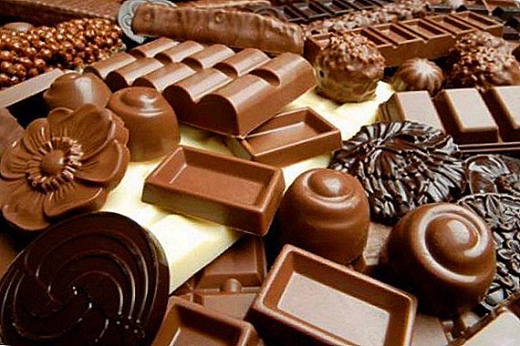 انخفضت صادرات الشوكولاته الأوكرانية في عام 2016