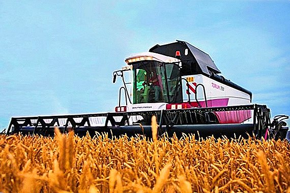 ロシアは2017年に記録的な穀物収穫を繰り返すことができそうにない