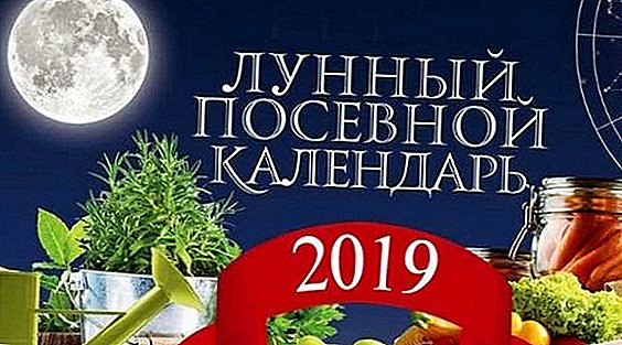 التقويم البذر القمري لعام 2019 لمنطقة موسكو