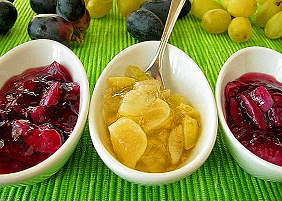 How to cook grape jam: 3 super-recipes