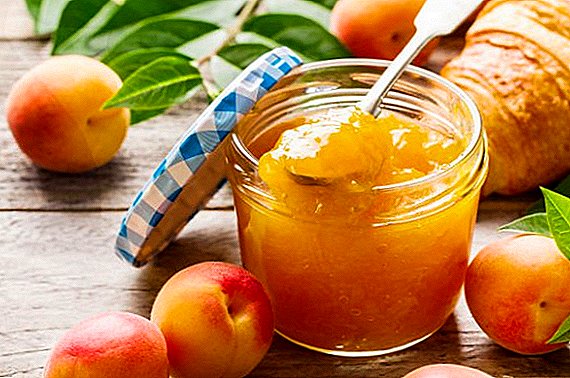 How to cook apricot jam: 3 best recipes