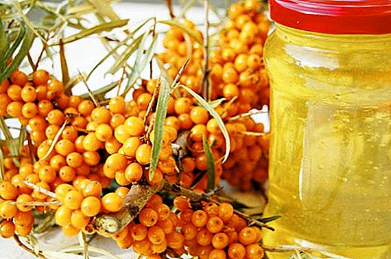 3 best and simple recipes for making sea buckthorn oil at home