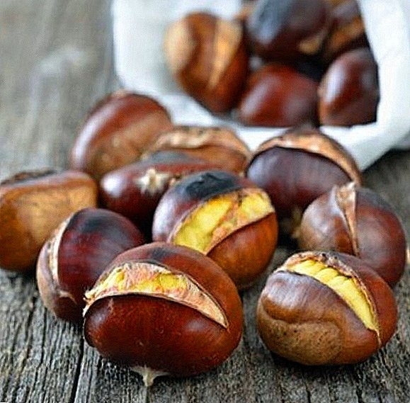 3 recipes and benefits of chestnuts