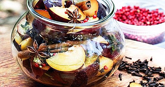 How to pickle plums for the winter: 3 best recipes