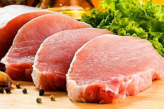 כ -3.5 טונות של בשר חזיר נגוע נמצא Krasnoyarsk Krai