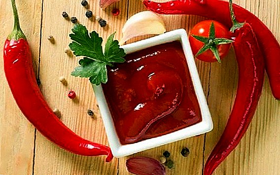 How to make homemade ketchup: 4 superrecept