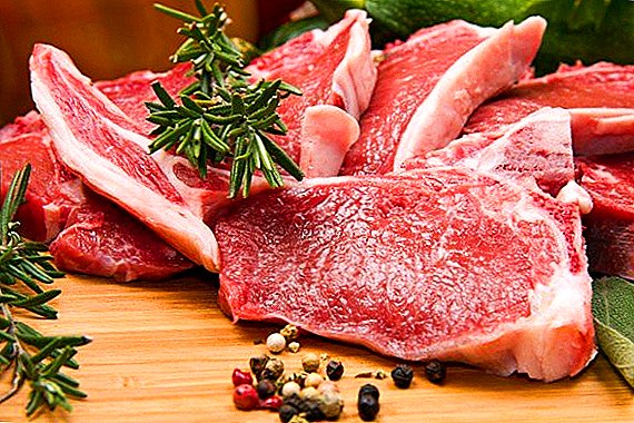 Prodaja umetnega mesa je dosegla 4 milijarde dolarjev in še naprej raste