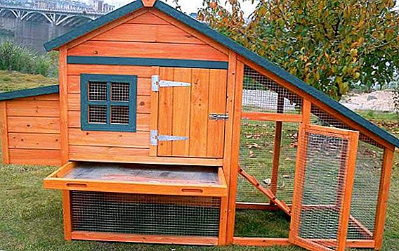 How to build a mini chicken coop for 5 chickens with their own hands