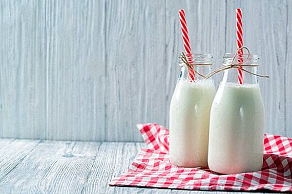 Ríos lácteos: el gobierno de la República de Kazajstán tiene planes de abrir más de 500 granjas lecheras para 2027