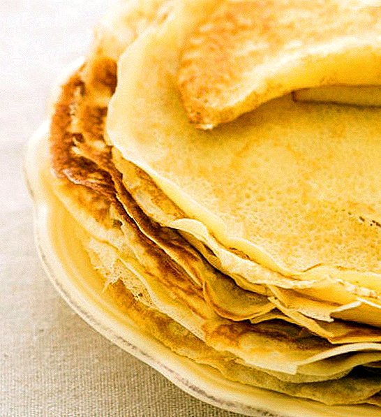 Hur man spenderar vintern och träffar våren, eller 7 bästa recept för pannkakor till Shrove Tuesday