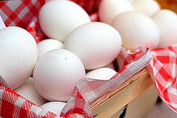 Les Britanniques émettent plus de 700 millions d'œufs par an