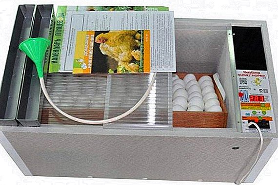 Revizuirea incubatorului pentru ouă "Normă blitz 72"