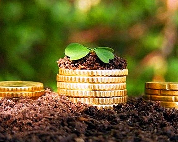 Agriculture of the Russian Federation will receive subsidies in the amount of 75 billion rubles