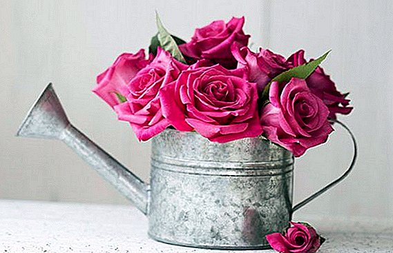 Cómo guardar rosas en un jarrón más largo: 9 consejos prácticos