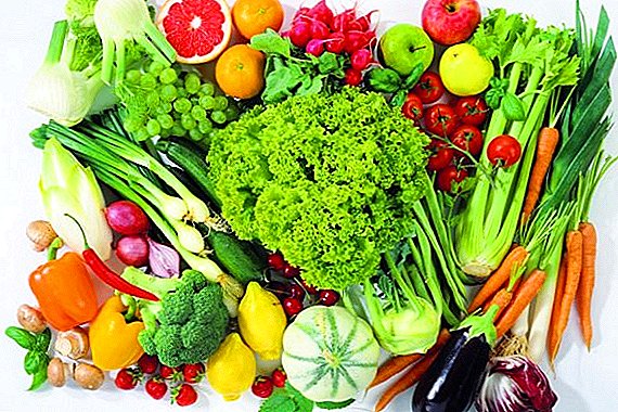 Poljoprivrednici u Tomsku će proširiti popis poljoprivrednih proizvoda za izvoz