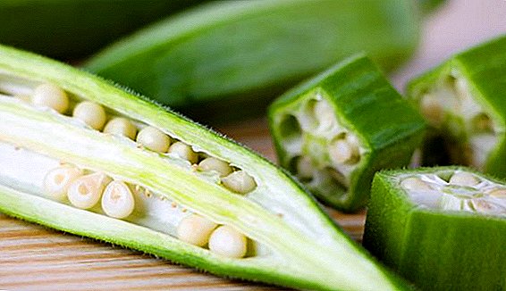 Agricultural technology of growing okra from seeds