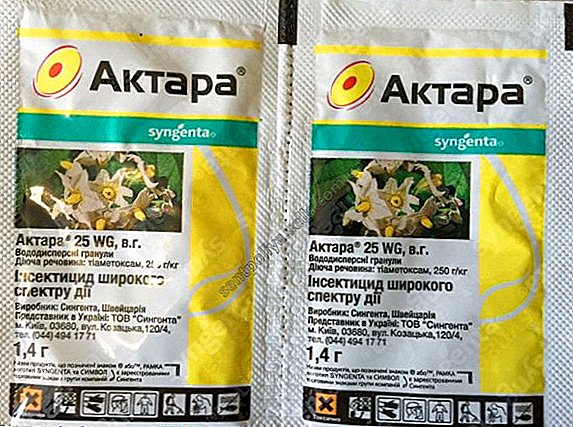 "Aktara": composición, mecanismo de acción y uso de la droga.