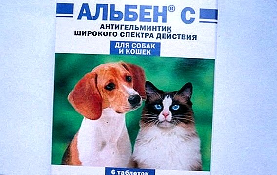 "Alben": instruções de uso para animais