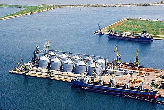 La empresa Allseeds Black Sea está iniciando un proyecto logístico para el transbordo de semillas oleaginosas.