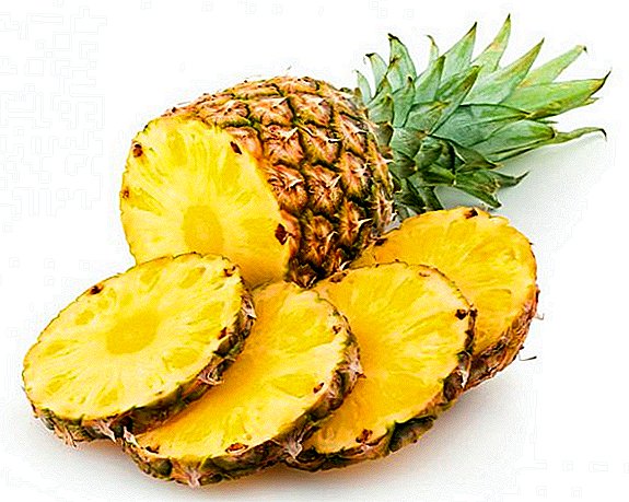 Pineapple at home: myth or reality?