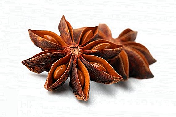 Star anise: description and application features