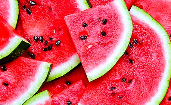 Watermelon: what is contained in the composition, what is useful, how to choose and cut, how much is stored