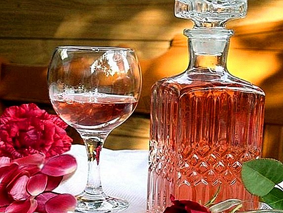 Fragrant rose petal wine: homemade recipe