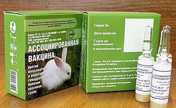 Associated vaccine for rabbits: how to breed and prick