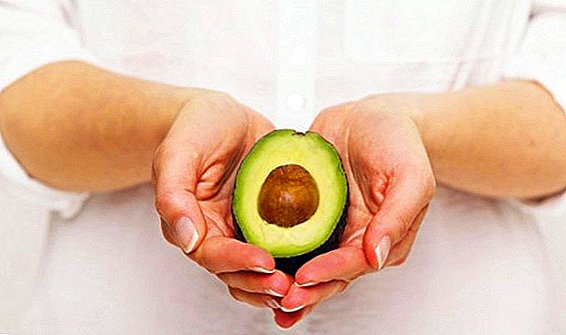 Avocado: how many calories, what is contained, what is good, how to eat, who can not