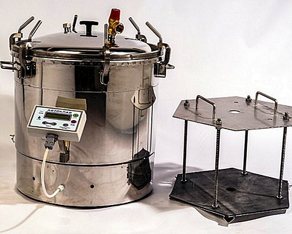 Autoclave for food processing
