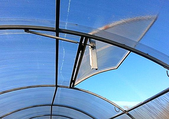 Automatic ventilation of the greenhouse: a thermal actuator with your own hands