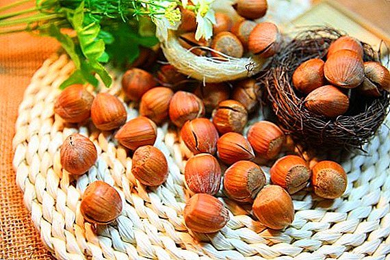 Azerbajdžanu vyvážať lieskové orechy do Lotyšska