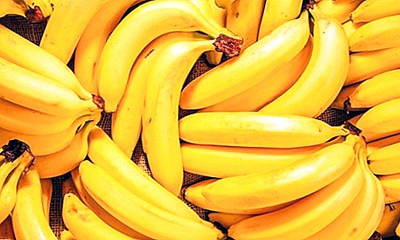 Banana: how many calories, what is contained, what is good, who can not eat