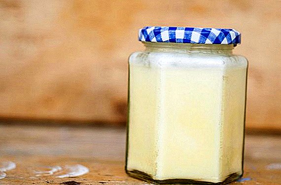 Mutton fat: what is useful, how to melt, what to do with it