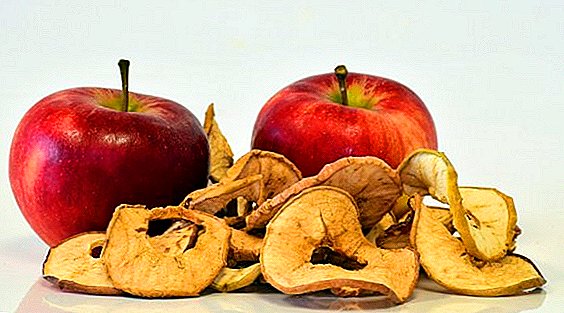 Belarus became the leader in export supplies of dried apples to Russia