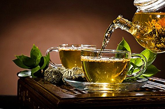 Tee aus den Blättern der Pflanzen: Sammlung, Trocknung, Rezept