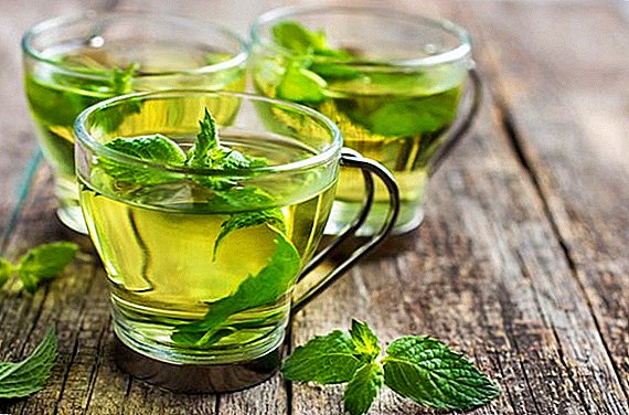 Tea with mint: what is useful, how to brew and drink