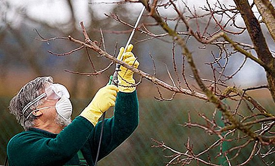 Hogyan kell feldolgozni az almafát virágzás után, kártevők elleni védelem
