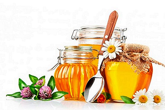 ¿Por qué es útil la miel floral?