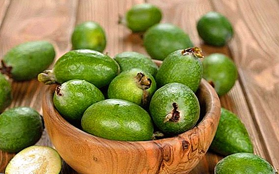 What is feijoa useful for?