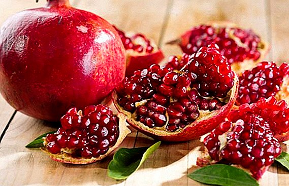 Wat is nuttig granaatappelfruit: algemene informatie en helende eigenschappen