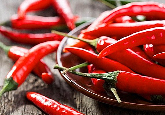 Jak je pro tělo hot pepper?